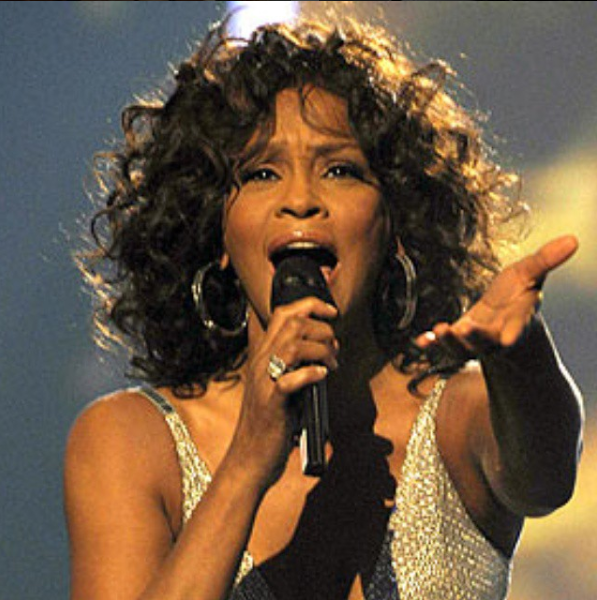13 Whitney Houston colpeja en què hauríeu de fer melodies, segons el vostre encàrrec de gelats