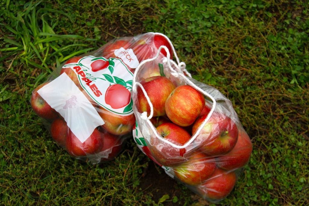 5 פרדסים של תפוחי המערב התיכון לבקר בסתיו הקרוב