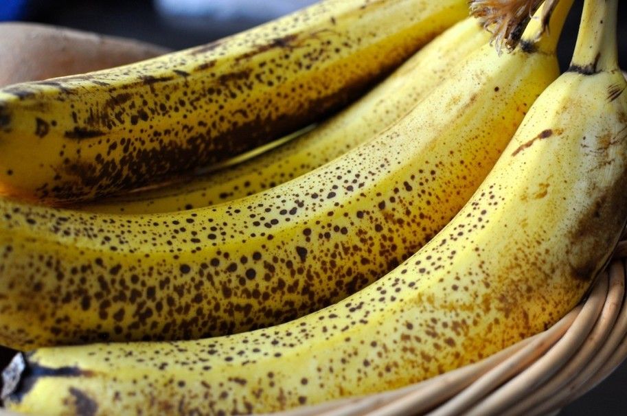 Pērtiķi faktiski neēd banānus savvaļā