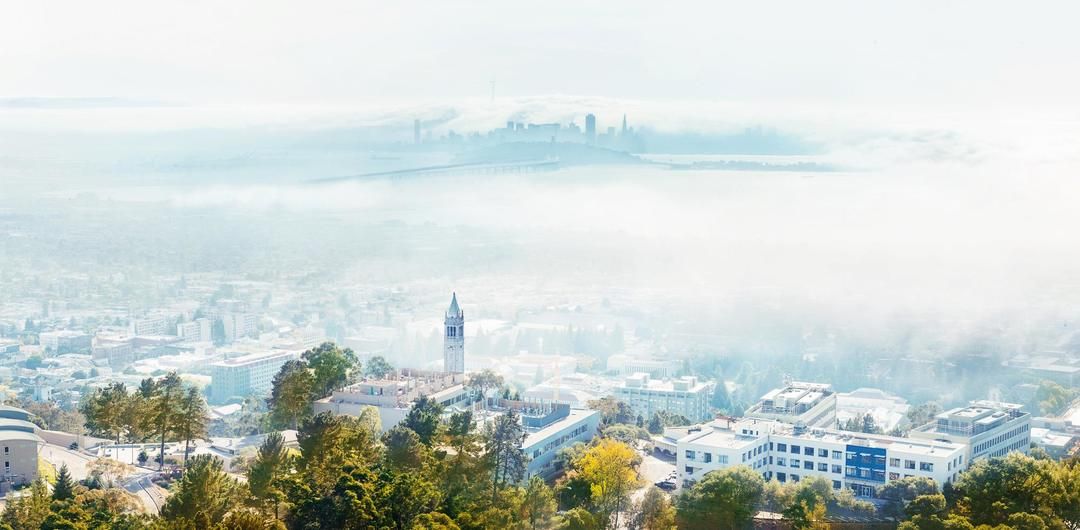 10 занятий, которые должен посетить каждый гурман в Калифорнийском университете в Беркли