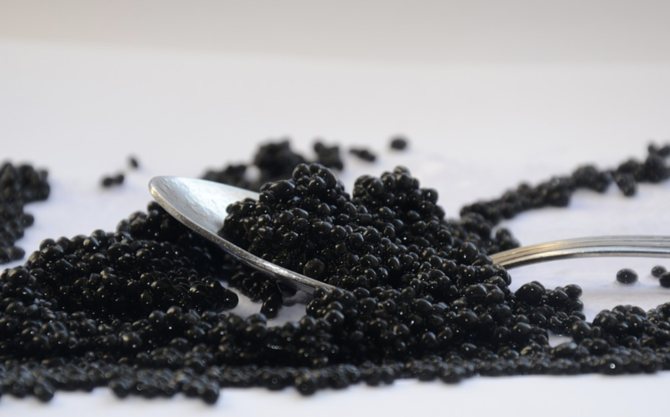Warum ist Kaviar so teuer und wie kann man es billiger bekommen?