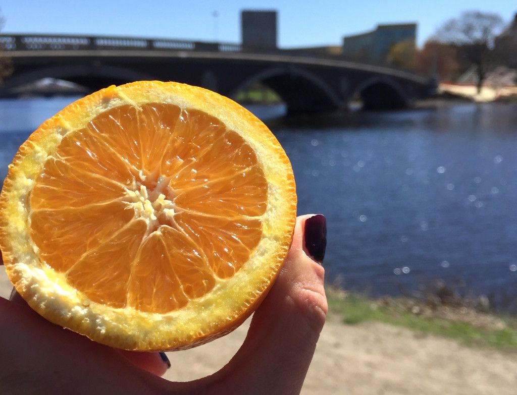 Jak rozlišit oranžové citrusové plody příště, když jste v supermarketu