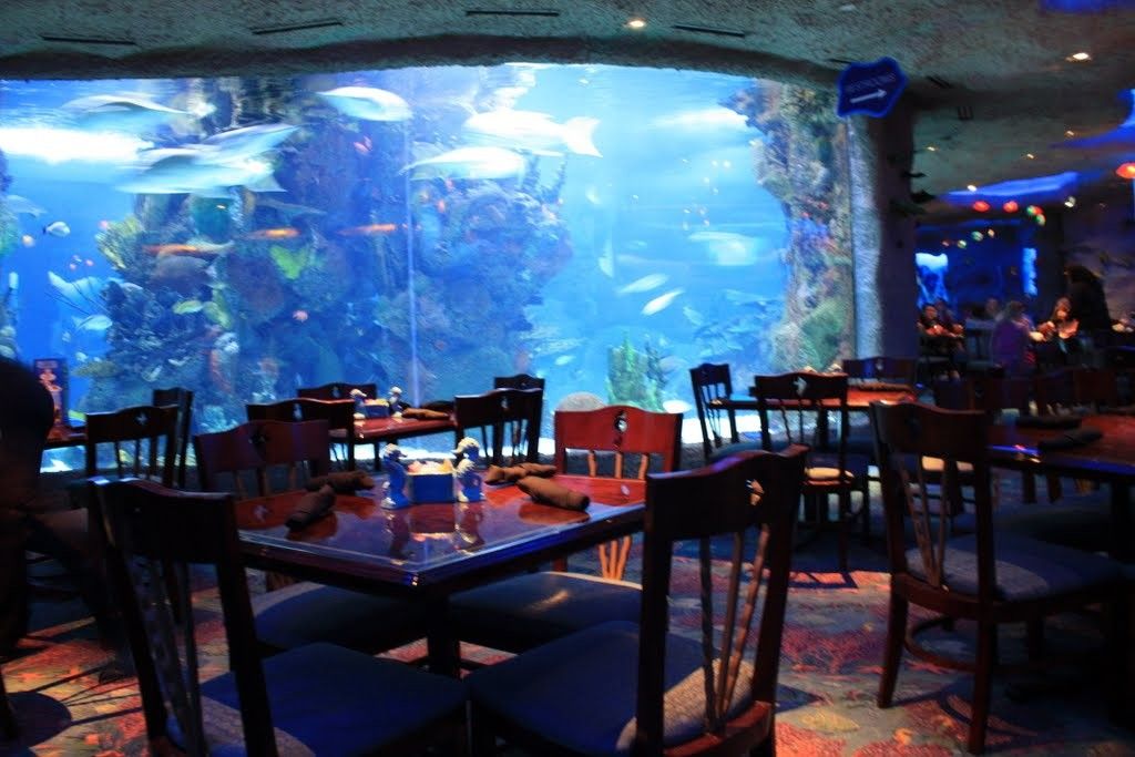 restaurantes submarinos