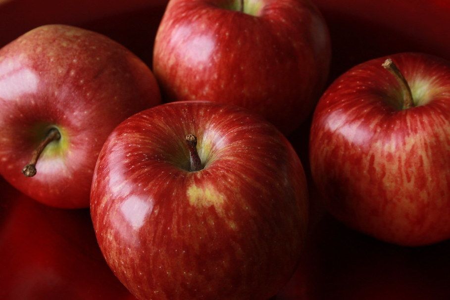 Μέρη για να κάνετε Apple Picking κοντά στο UConn, Storrs
